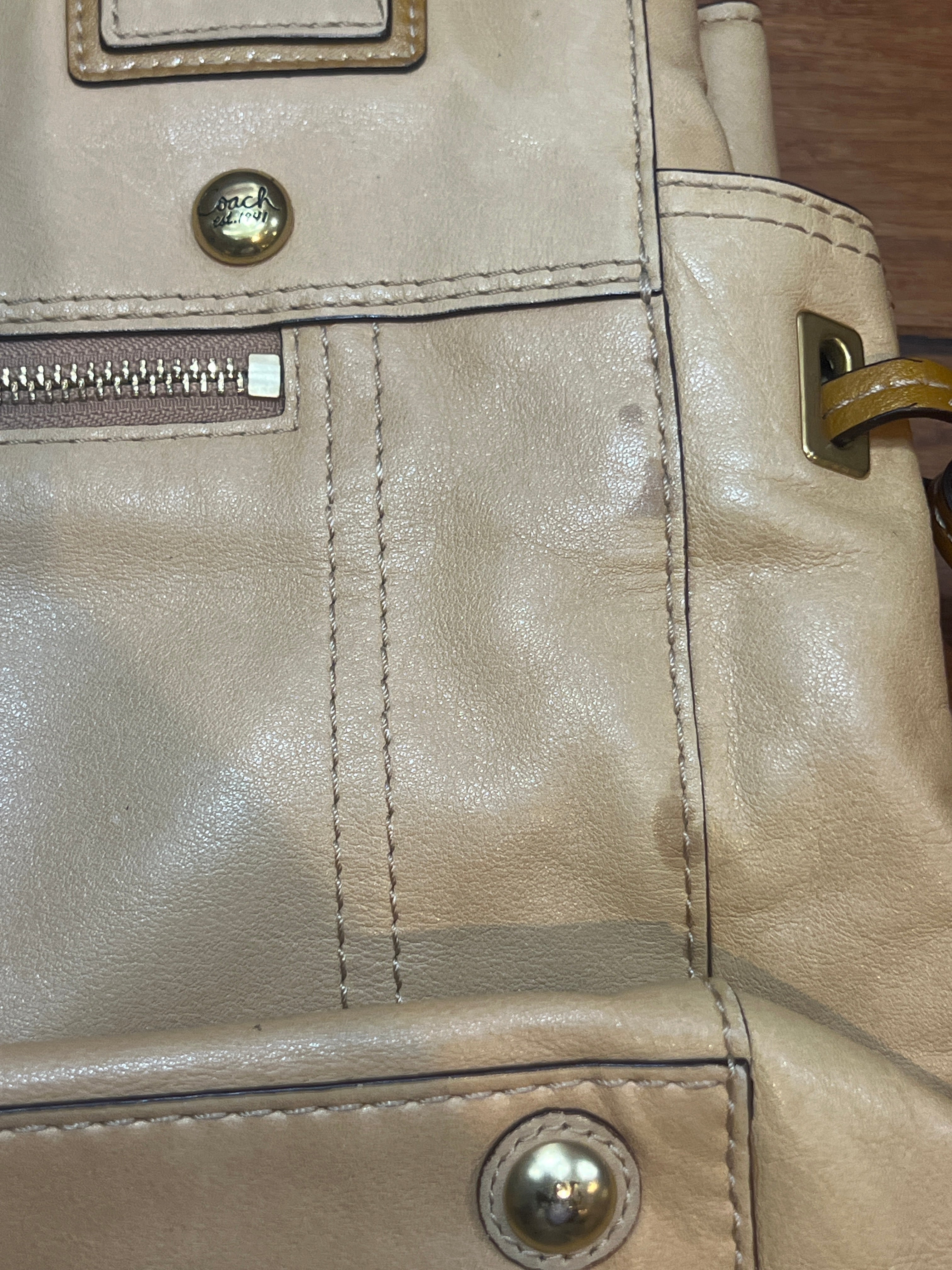 Coach Peyton Leather Carryall Bag