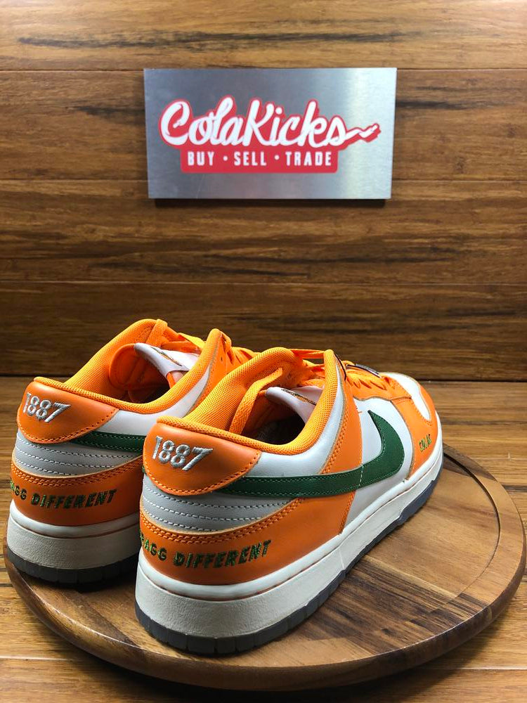Nike Dunk Low FAMU