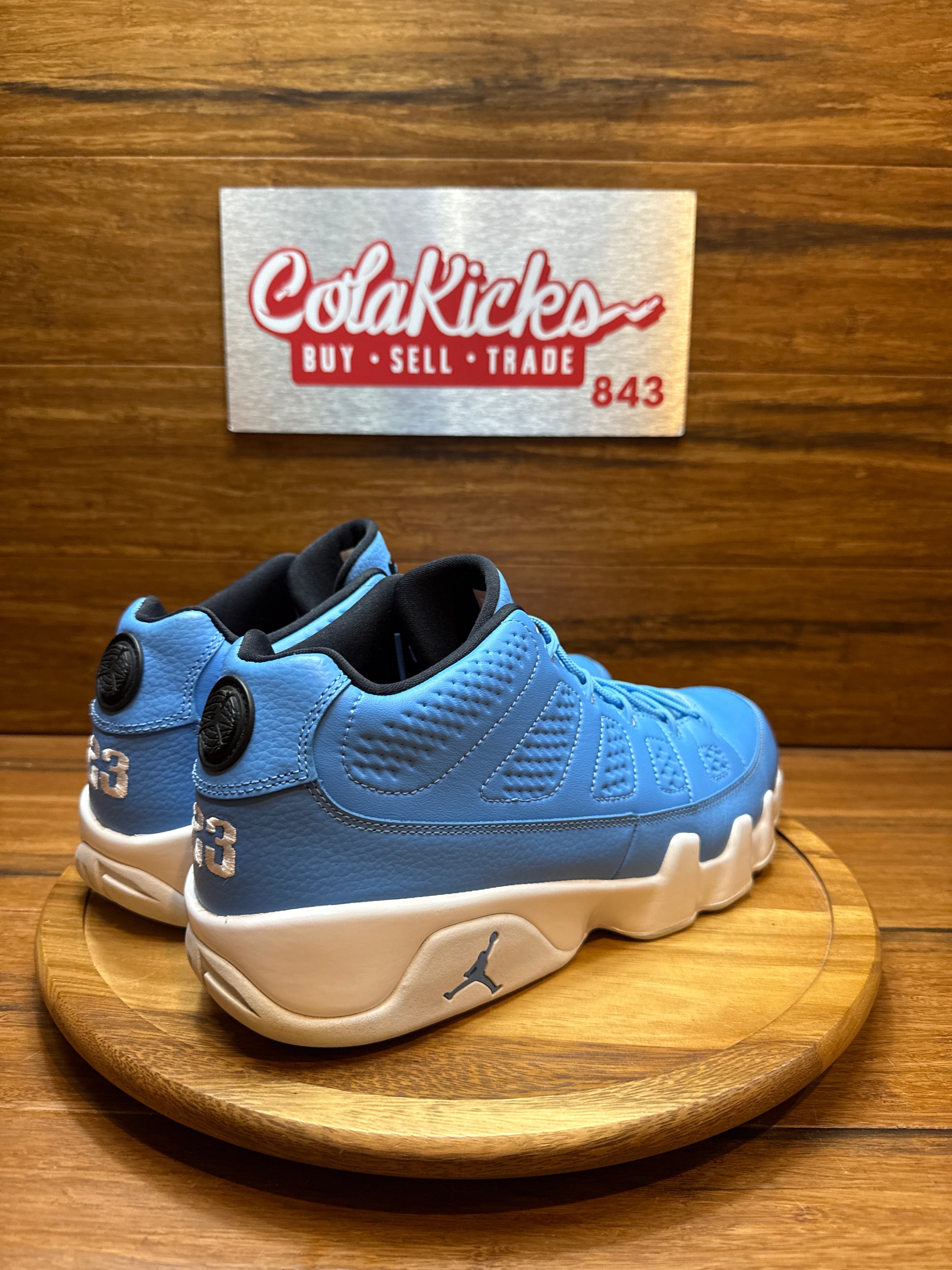 Jordan 9 Retro Low Pantone