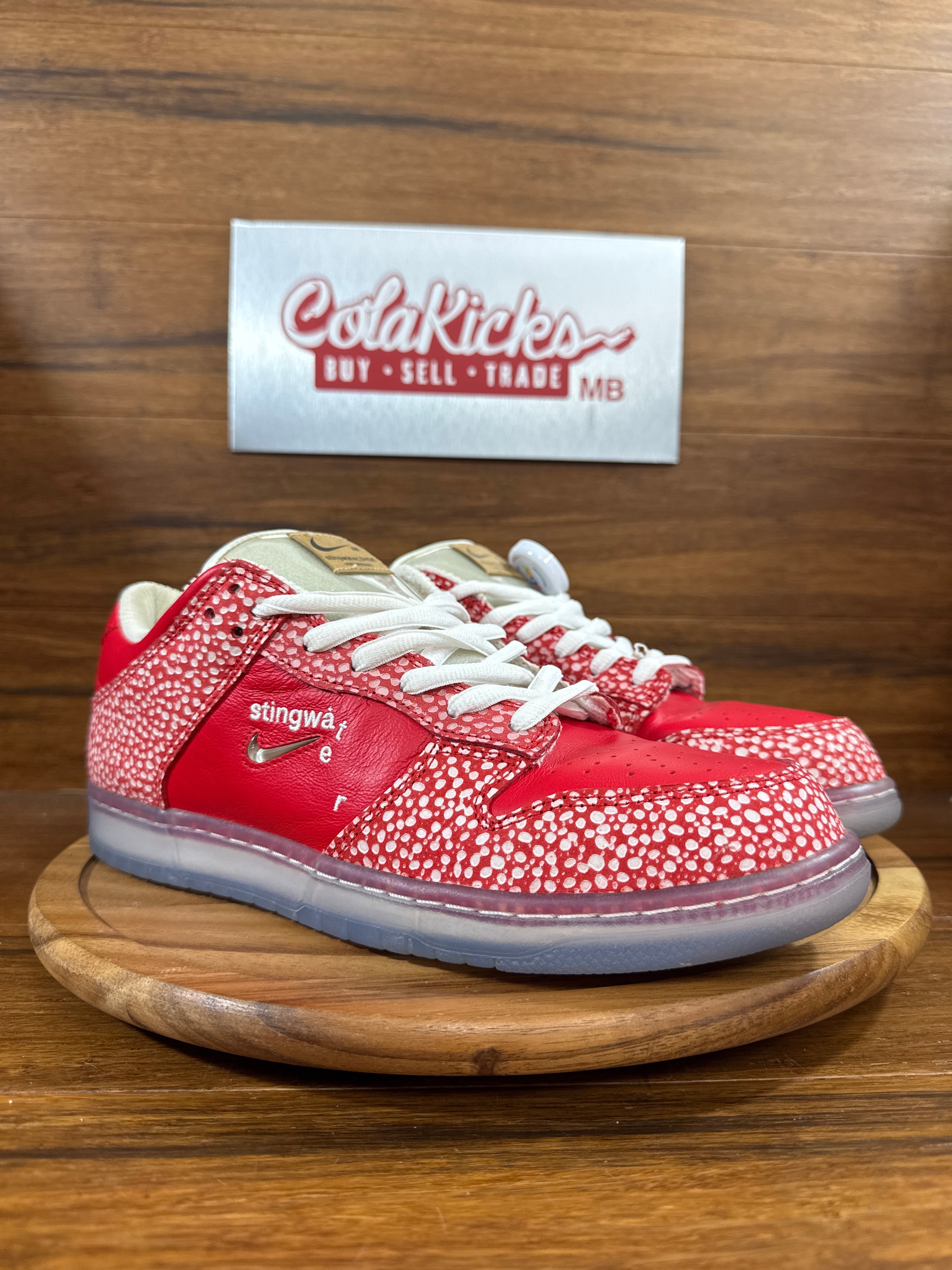 Nike SB Dunk Low Stingwater Magic Mushroom