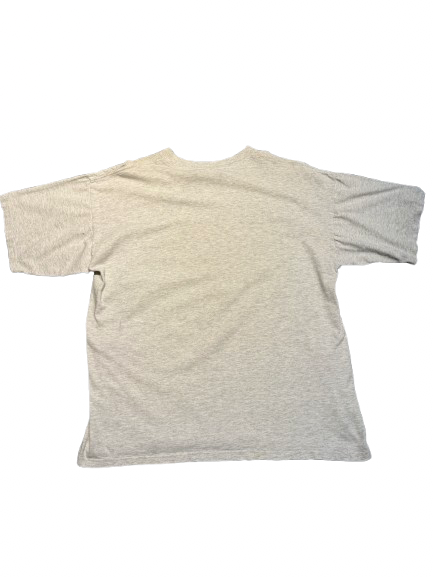 phoenix Suns My 3 Suns Caricature