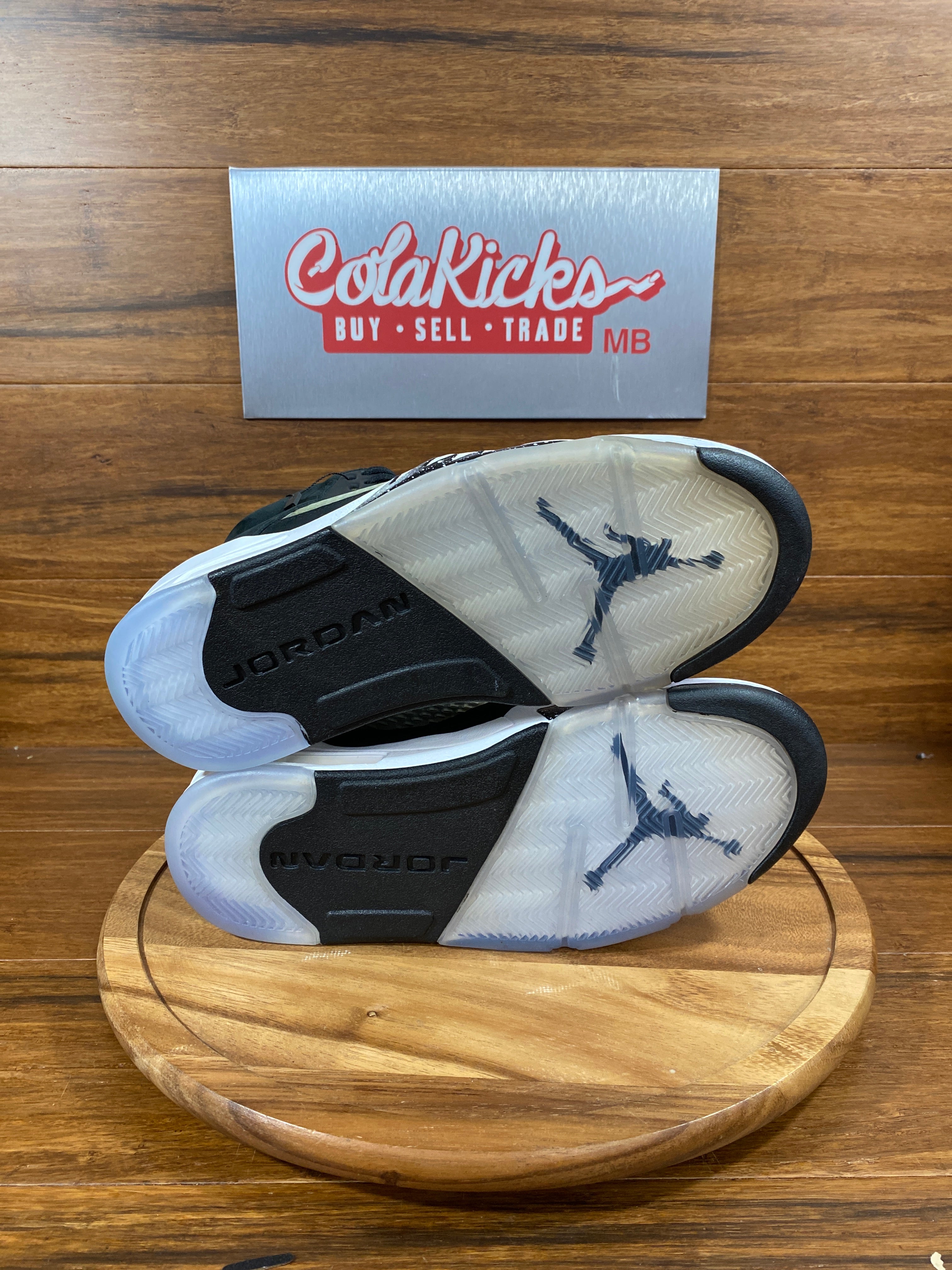 Jordan 5 Retro Moonlight (2021)