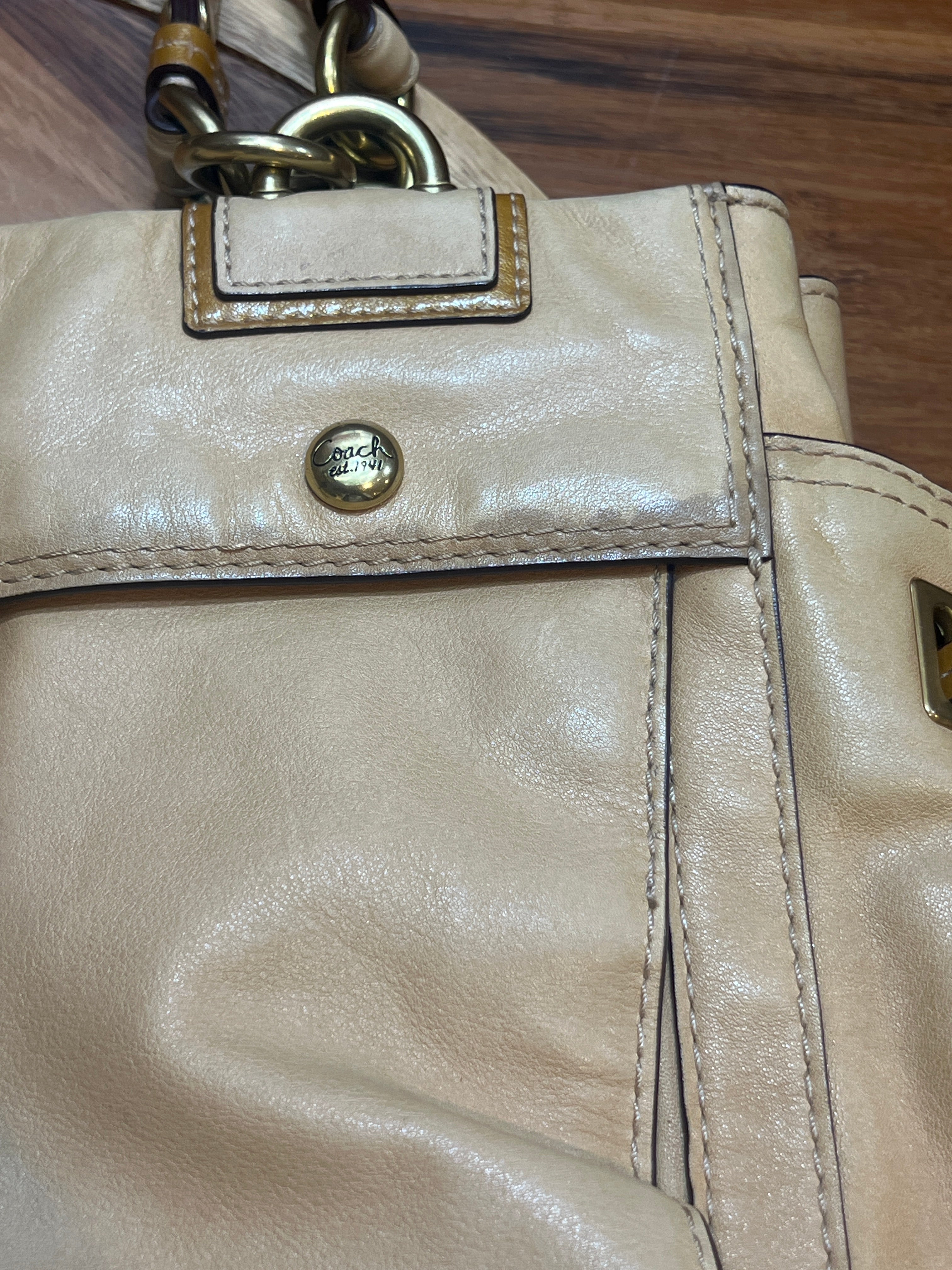 Coach Peyton Leather Carryall Bag