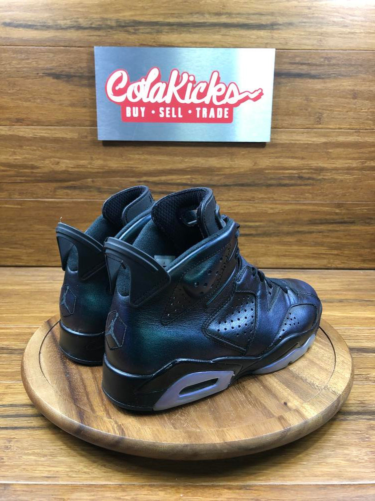 Jordan 6 Retro All-Star Chameleon (2017)