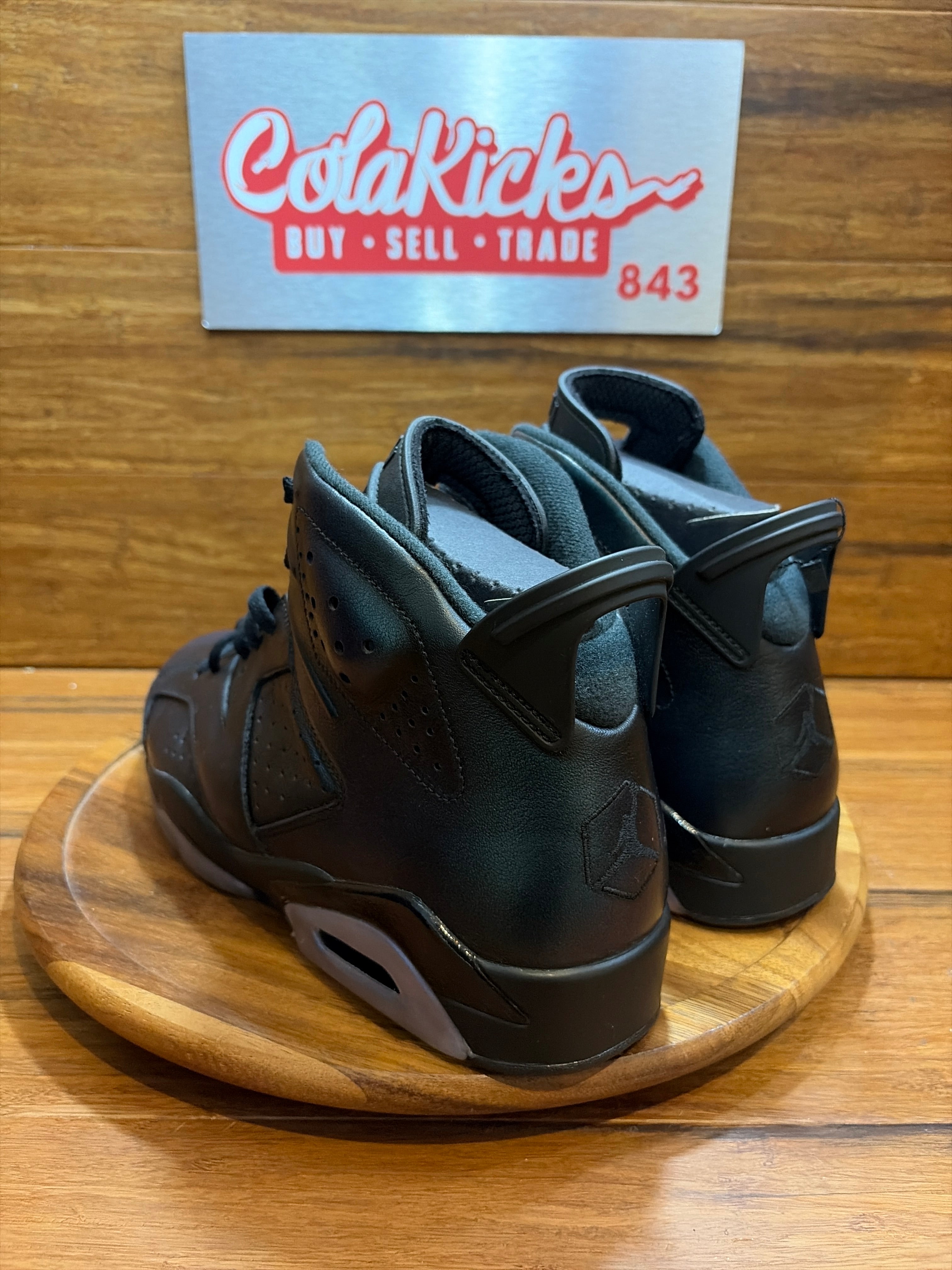 Jordan 6 Retro All-Star Chameleon (2017)