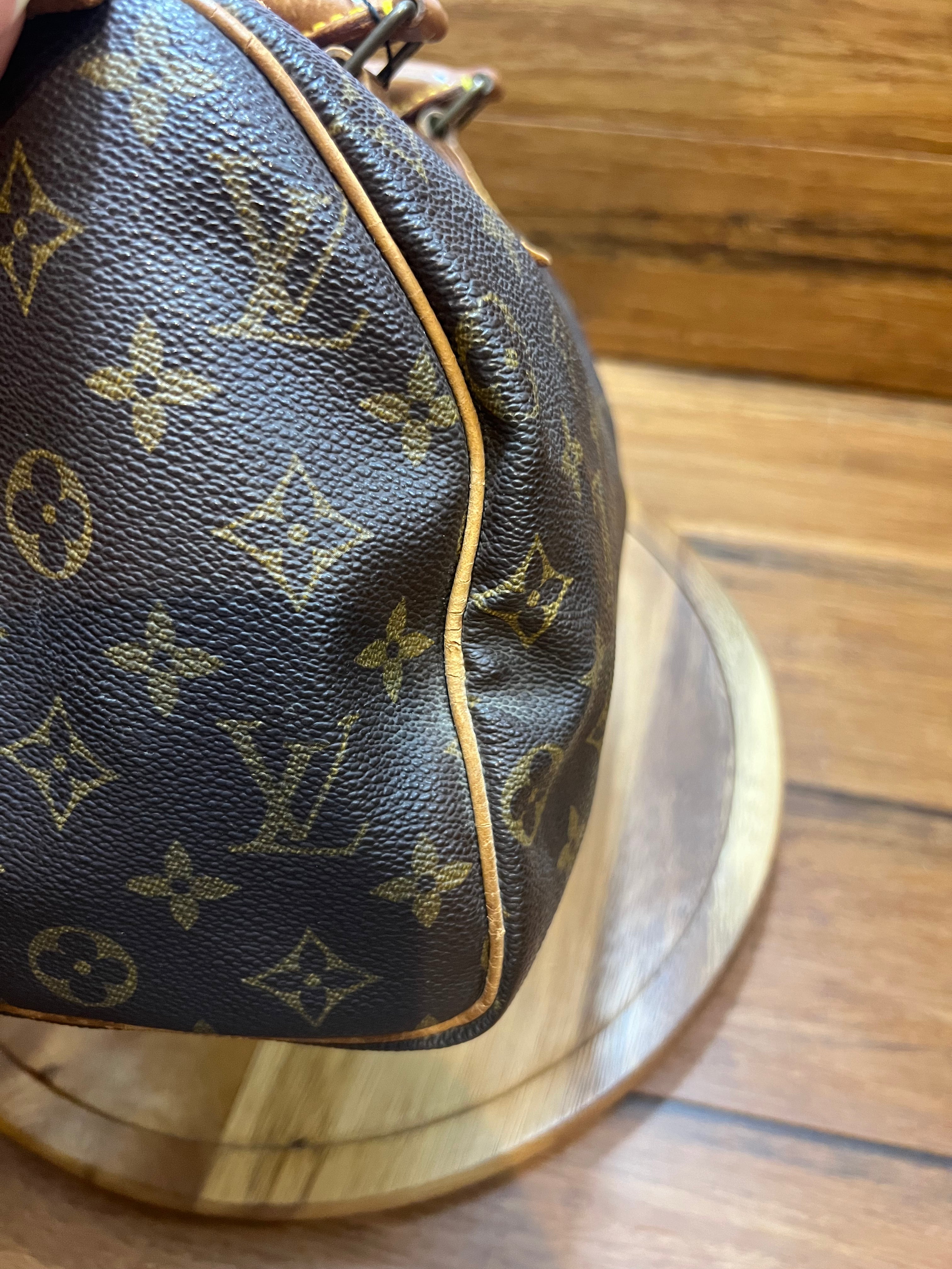 Louis Vuitton Monogram Speedy 25