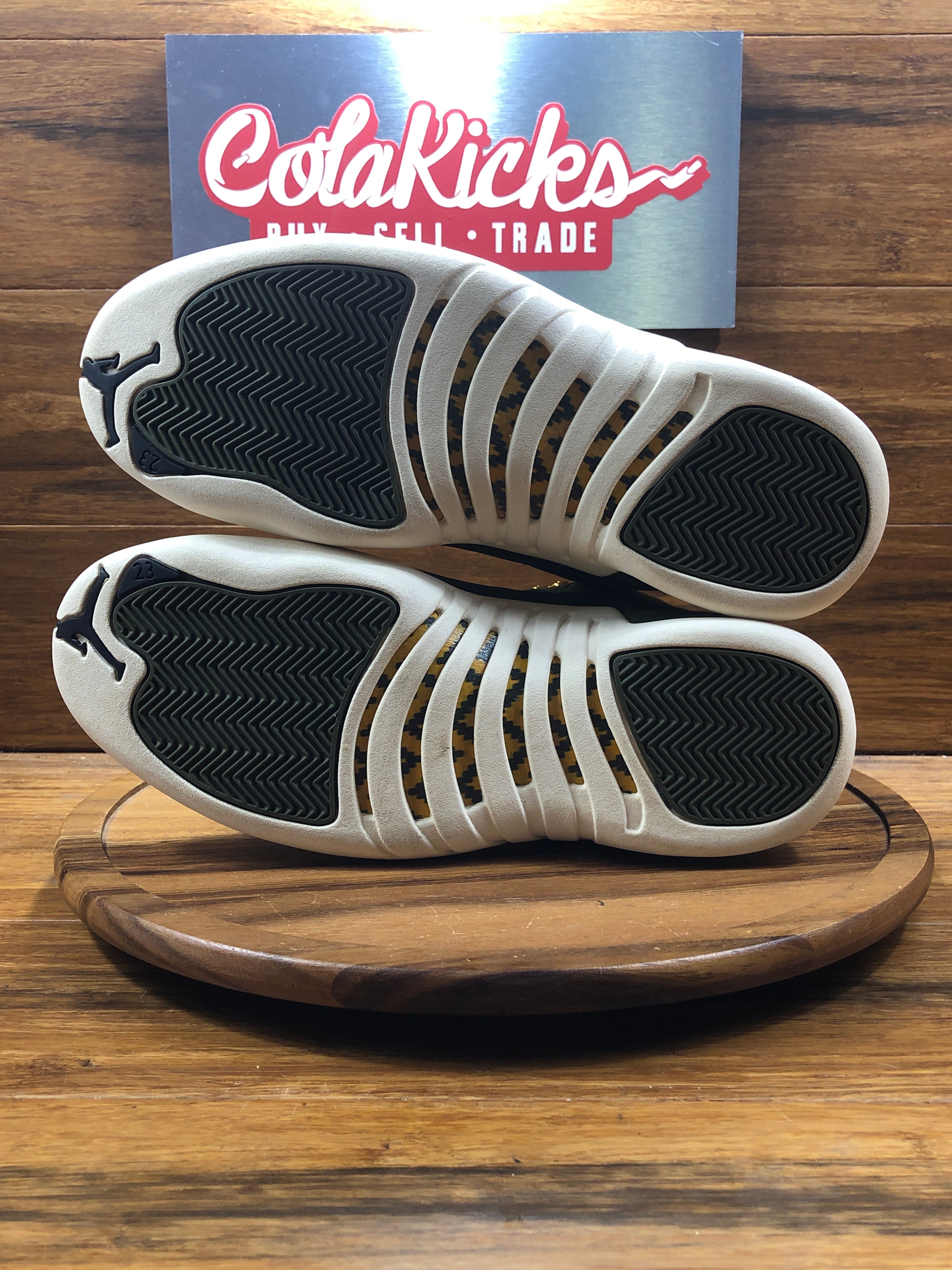 chris paul jordan 12s